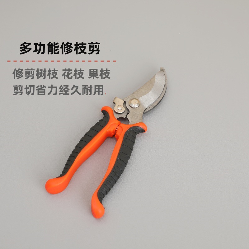 ����֦԰�ռ�����֦��ʡ���޼���֦������ǩ԰�ֻ���ר�û��ռ���